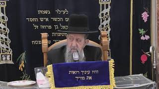 הרב בן ציון מוצפי • בית הכנסת סודאי שידור חי