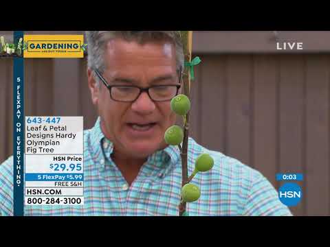 HSN | Gardening with Guy Yovan 05.18.2019 - 08 AM