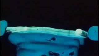 Madcap: An Animated Improvisation