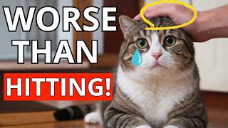17 Things You MUST STOP DOING with Your Cat!