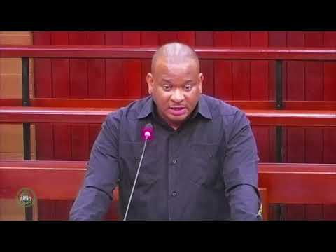 Belize House of Representatives Tackles National Matters, Including Gun Control Board PT 1