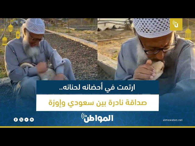 ارتمت في أحضانه.. صداقة نادرة بين سعودي وإوزة