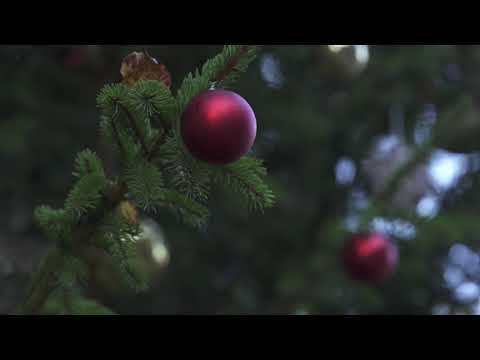 我們是否應該急於拯救聖誕經濟？ (Should we rush to save the Christmas economy?)