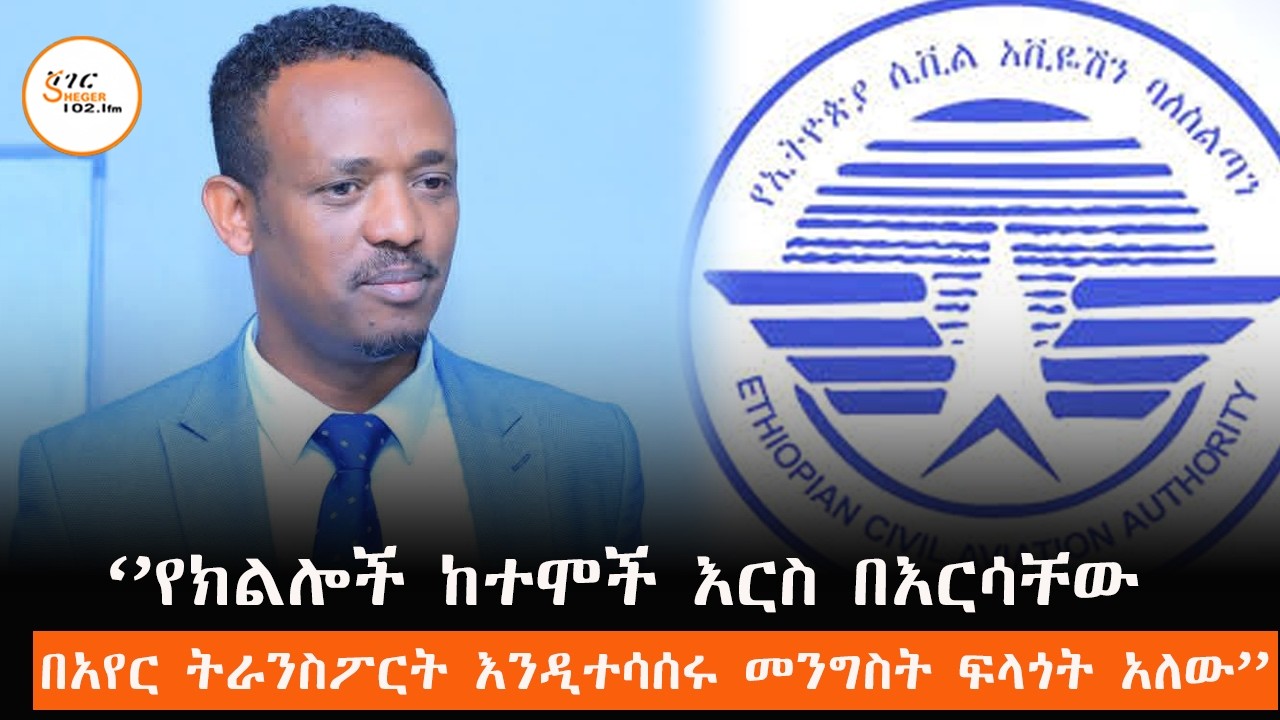 ለግል አየር መንገዶች በመንግስት ጥሪ ቀረበላቸው