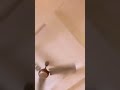 Anveshi Jain Dancing On Firecracker Song Shorts Anveshijain Actress Yrf Firecracker