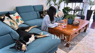 “年齢の呪い”について、オーストラリアで思うこと。