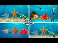 360º VR Oceanic Gegagedigedagedago 1 2 3 4 76 360 360video Gegagedigedagedago