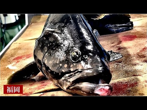 [Sushi en Hakata] ¡Tamakue y Umeiro! ¡Pica pescado raro! ¡Cobertura cercana de restaurantes populares que se especializan en pescado y cocina! ! ``Umibare''/restaurante de sushi japonés que ofrece pescado raro