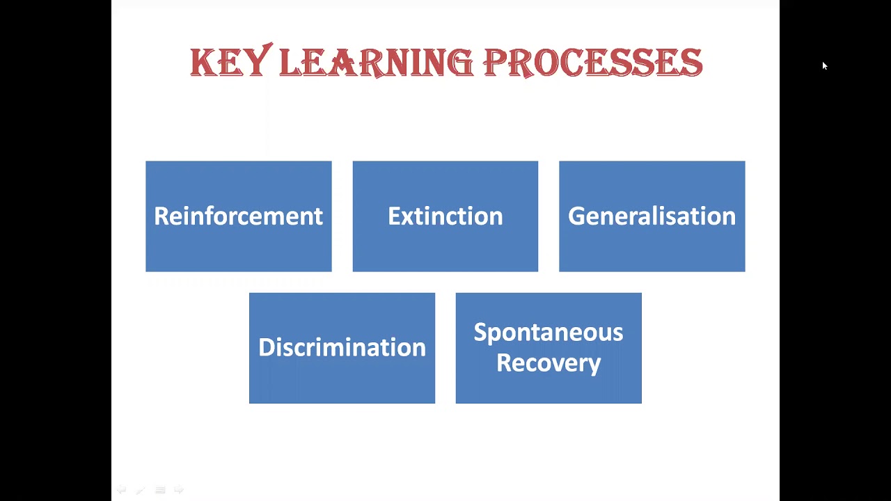 Class XI Psychology Chapter 6 Learning Key Learning Processes MrsSushmita PDV