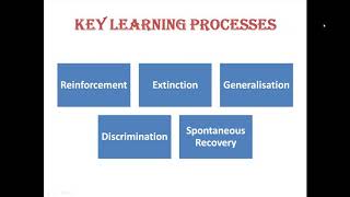 Class XI Psychology Chapter 6 Learning Key Learning Processes MrsSushmita PDV