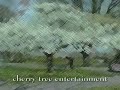 The Murphy Company Cherry Tree Entertainment Shaun Cassidy Productions Sony Pictures Digital