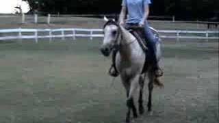 preview picture of video 'SOLD 2006 AQHA Buckskin Gelding by GOOD VERSION'