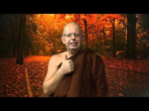 Einsichtsmeditation 3 - Achtsamkeit - Chantasaro Bhikkhu
