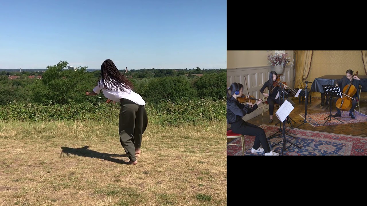 Video Image