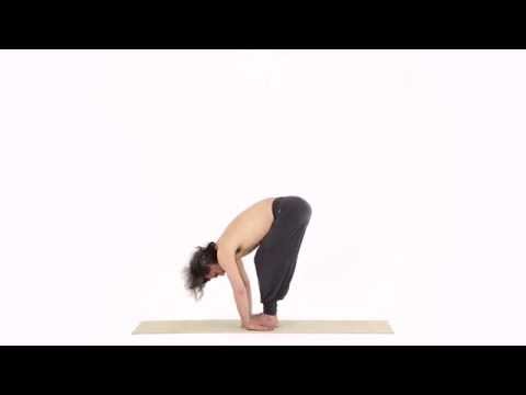 Elephant Pose, Variation with Mula Bandha - Gaja Asana