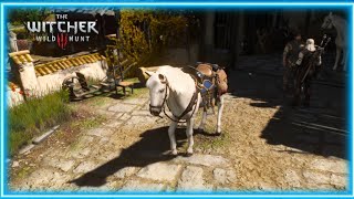 Witcher 3 Roach customization mod THE STABLE showcase