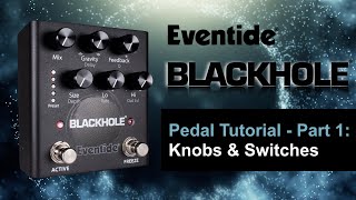 Eventide Blackhole Pedal Tutorial - Part 1: Knobs &amp; Switches