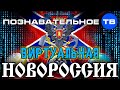Виртуальная Новороссия (Познавательное ТВ, Ростислав Ищенко) 
