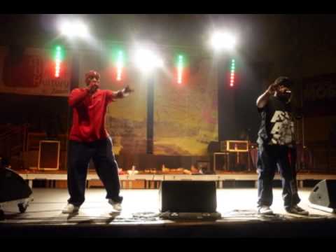 Edo G Feat. Masta Ace - Wishing (Plastikon remix)