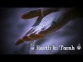 Raeth Ki Tarah Lyrics