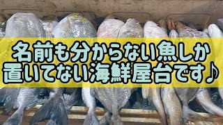 見たことない魚達しか置いてないシーフード屋台へ凸してみました！　レポート#295