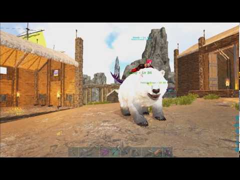 encontro com amigos cidade viking Ark