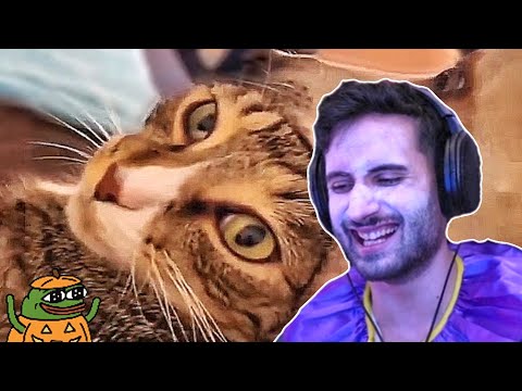 NymN reacts to UNUSUAL MEMES V210 (Halloween Edition)
