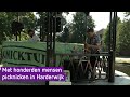 Met honderden mensen tegelijkertijd picknicken