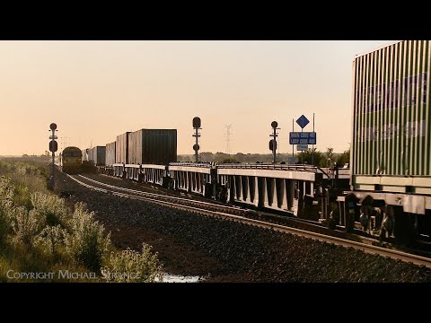 2MA5 Pacific National Container Train Crosses Grain Train (17/10/2022) - PoathTV Australian Railways