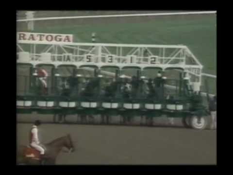 1994 Travers Stakes - Holy Bull