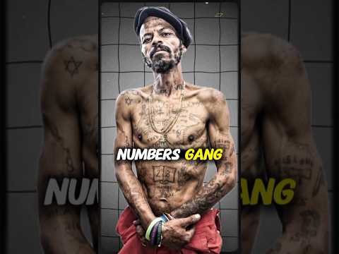Numbers Gang – South Africa’s Most Dangerous Prison Brotherhood | 26s, 27s & 28s Explained #gang