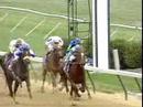 1994 Breeders' Cup Sprint