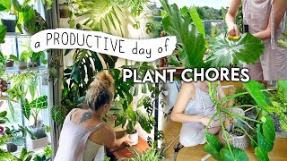 1.5 Hours(!!) of Plant Chores 🪴 Rehabbing, Styling, Propagating + MORE