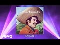 Vicente Fernández - Cállate (Audio)