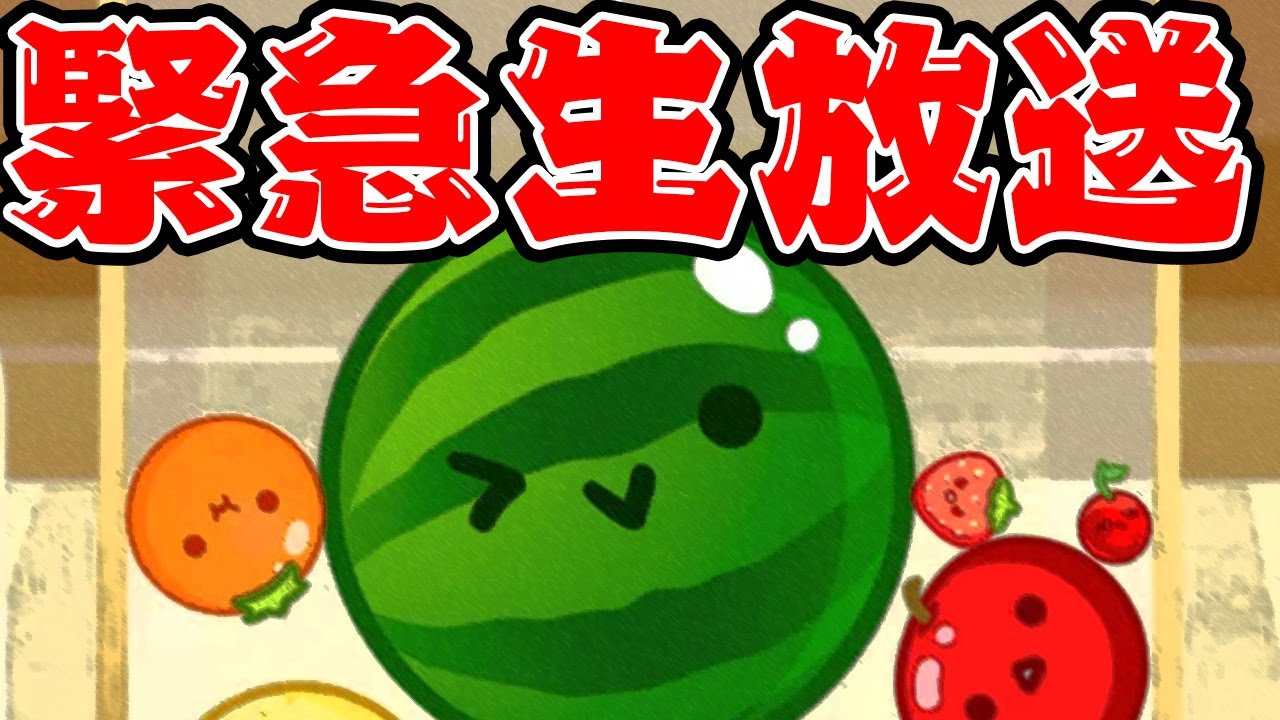【スイカゲーム】緊急生放送【不破湊/にじさんじ 】