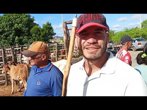 Feira de gado da intã de carnaiba P E 