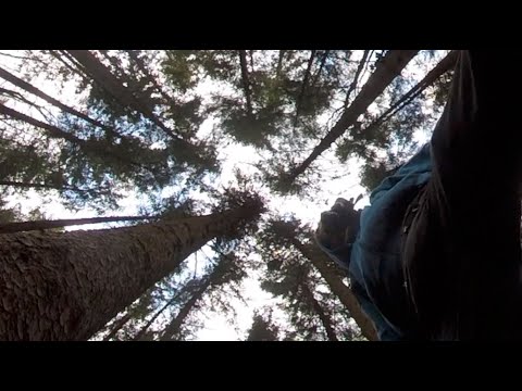 Social Dissents (Skit) - L-One, Dens (ATP Crew)