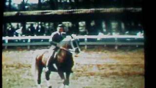 Horse show at Sedgefield Stables - circa 1964