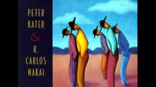 [HQ] Peter Kater & R. Carlos Nakai - If Men Were At Peace