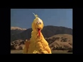 Big Bird And Oscar Cameo In The Muppets
