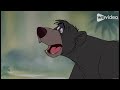 Poor Bear Katrina Berces Crossover