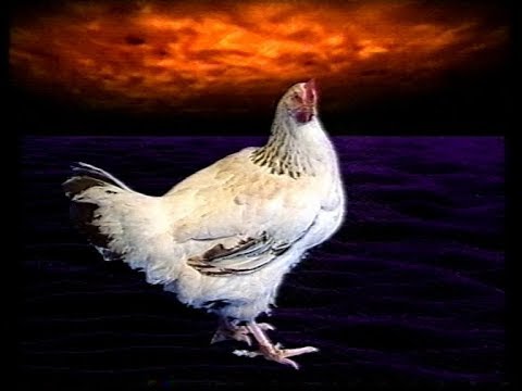 GamesMaster Consoletation Zone S02E21