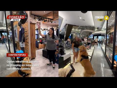 Vídeo: Golden transforma passeio no shopping em brincadeira com direito a plateia.