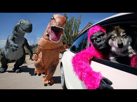 Gorilla & Kakoa Escape Giant T Rex! POV Chase