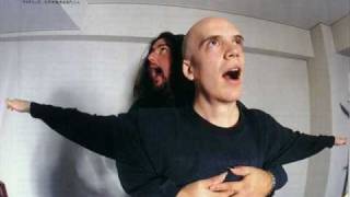 Devin Townsend - Bury The Wrong