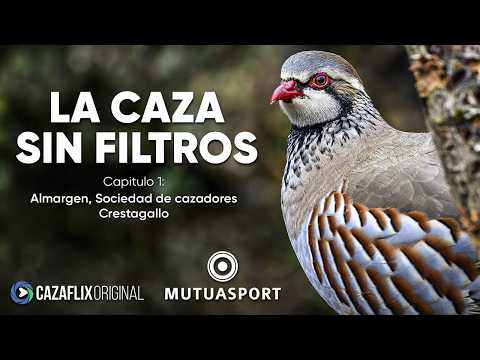 Jara y Sedal - CAZAFLIX and MUTUASPORT