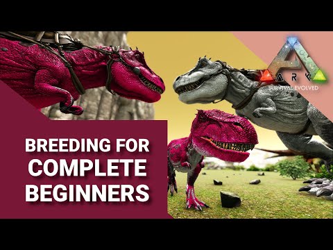 BREEDING for COMPLETE BEGINNERS | ARK: Survival Evolved