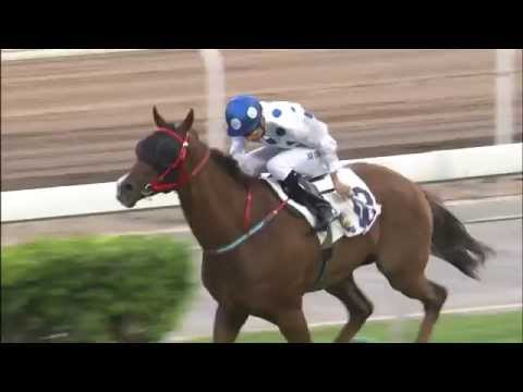 [Oriental Watch Sha Tin Trophy 2015] CONTENTMENT takes the Oriental Watch Sha Tin Trophy 2015