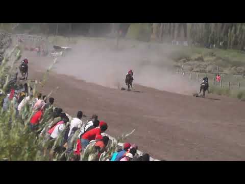 HAY MARTA  "Club Hipico Cabo Alarcon" - Picun Leufu - Neuquen - 26-02-2023