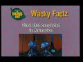 A Bug S Life Pre Show Slides